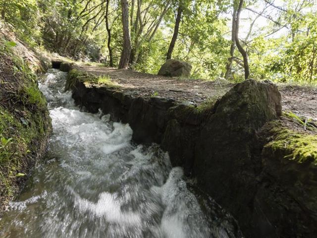 Foto für Thermalwasserwanderung am Juvaler Burghügel